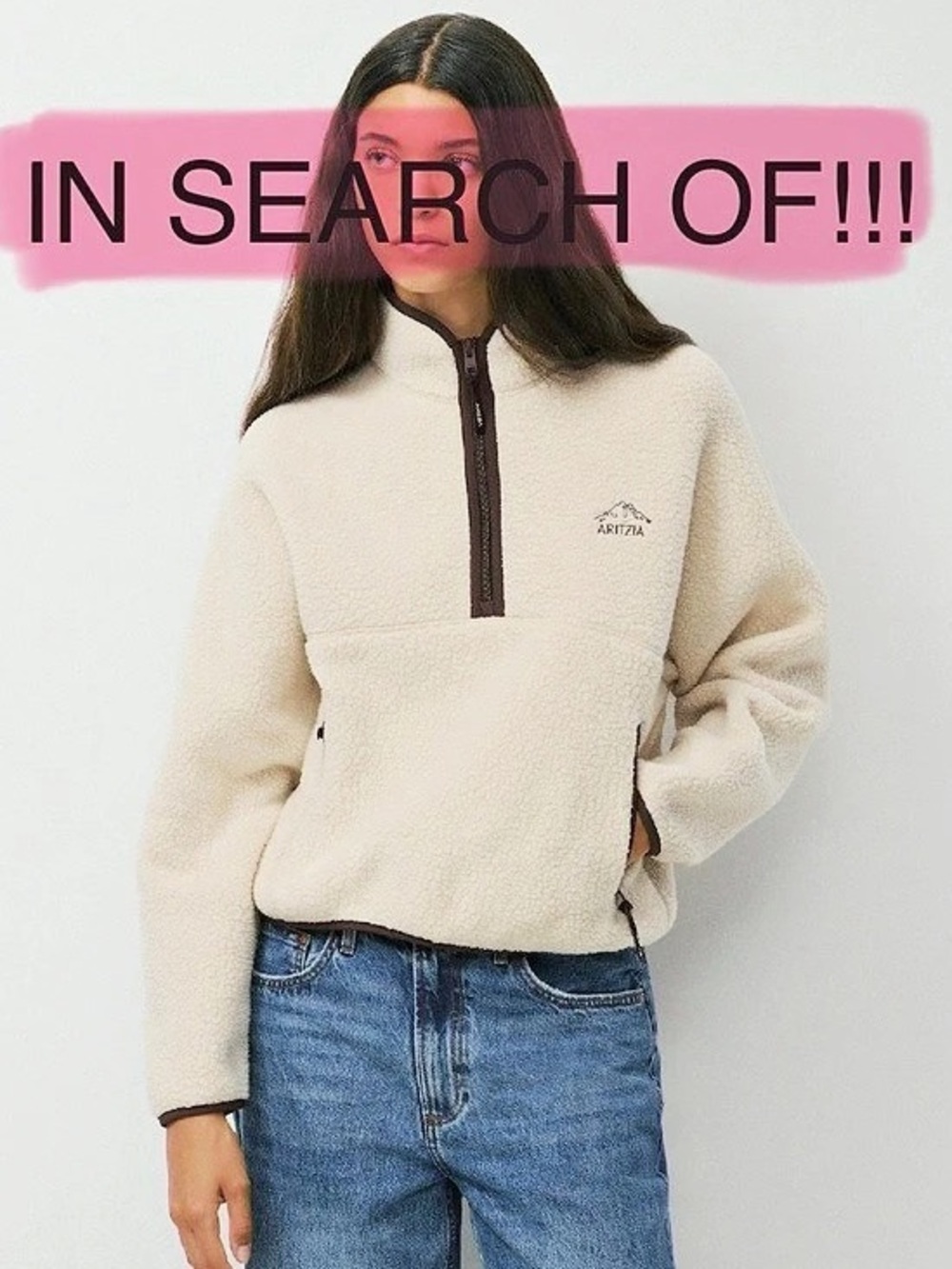 IN SEARCH OF Aritzia Polartec Thermal Pro Highlands 1/2 Zip Mullein/Mocha Brown